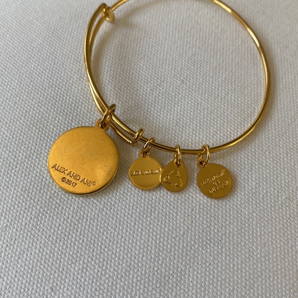 Alex & Ani “Wanderlust” Charm Bangle - Picture 3 of 4